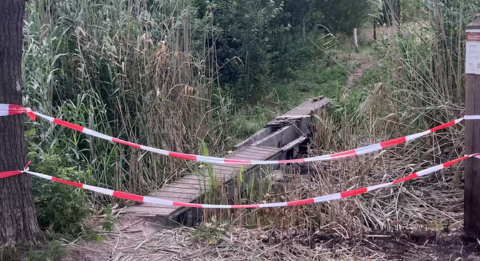Een smalle, beschadigde houten brug over rietland, afgezet met rood-wit lint.
