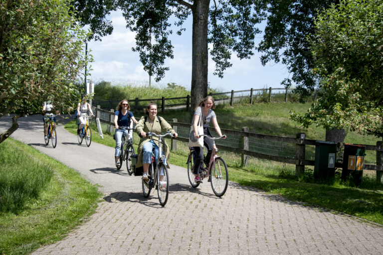 Vier mensen fietsen op een zonnig pad door een groen park met bomen.