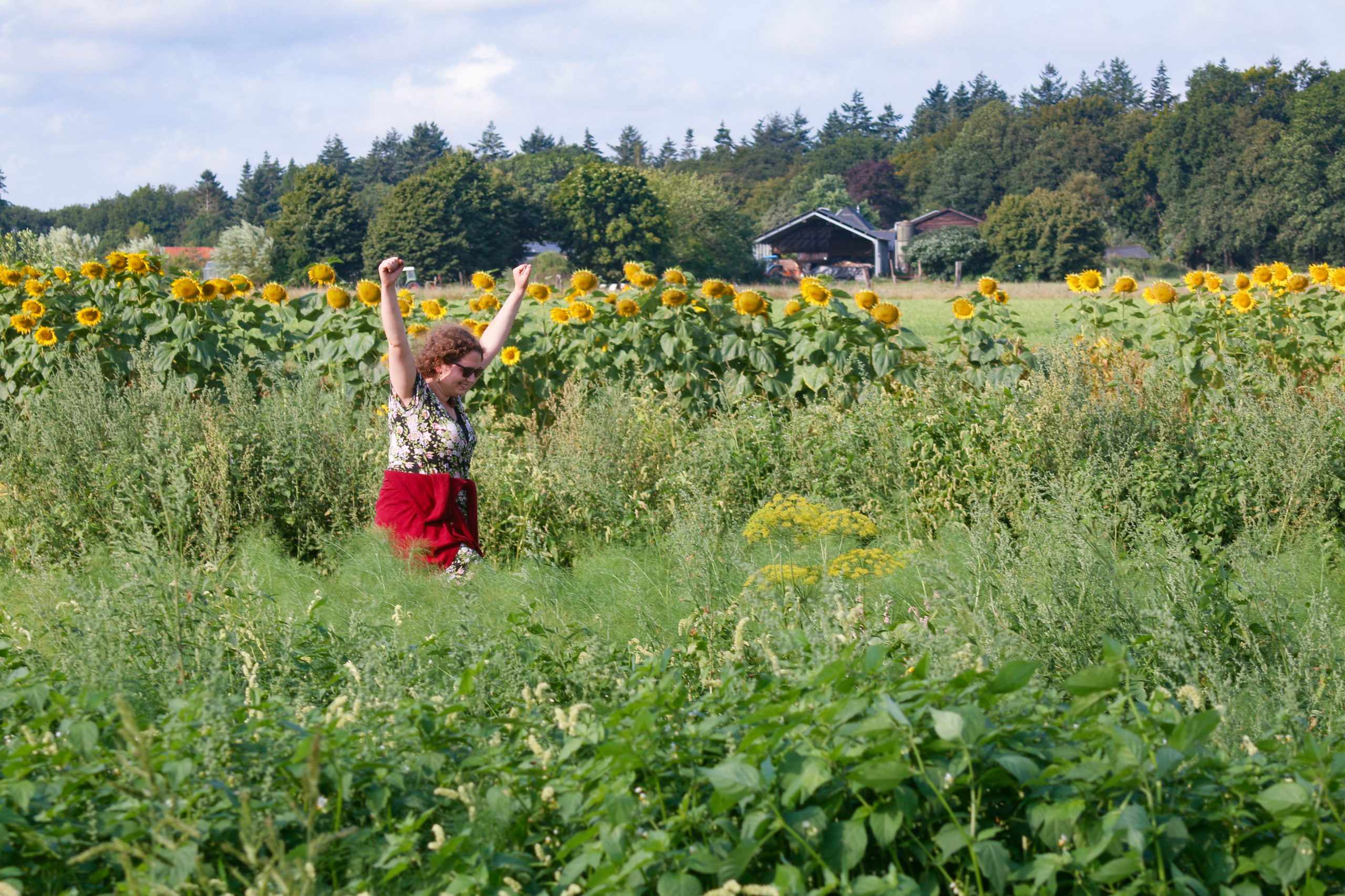 Vrouw in een veld met zonnebloemen, armen in de lucht, bosrijke achtergrond.
