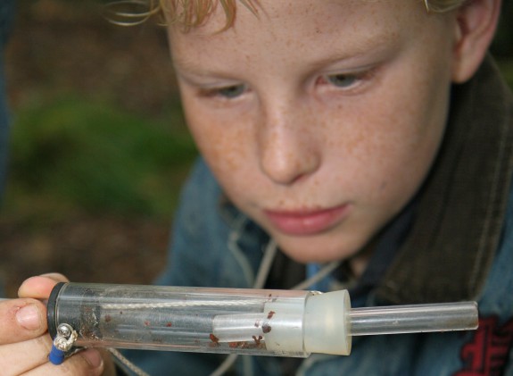 Ontdek de natuur