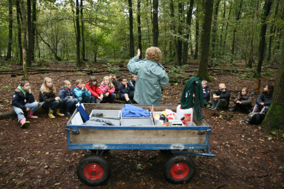 Buitenles Woldhuis natuurkamp