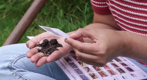 loep worm tuin bodem