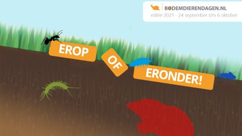 Bodemdierendagen 2021: Erop of eronder!