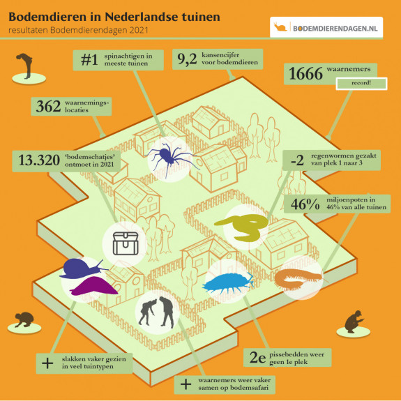 Infographic Boedemdierendag 2021