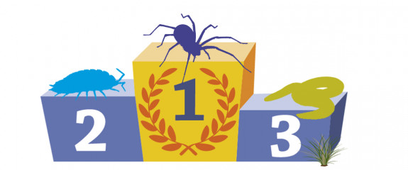 Bodemdierendagen 2021 podium
