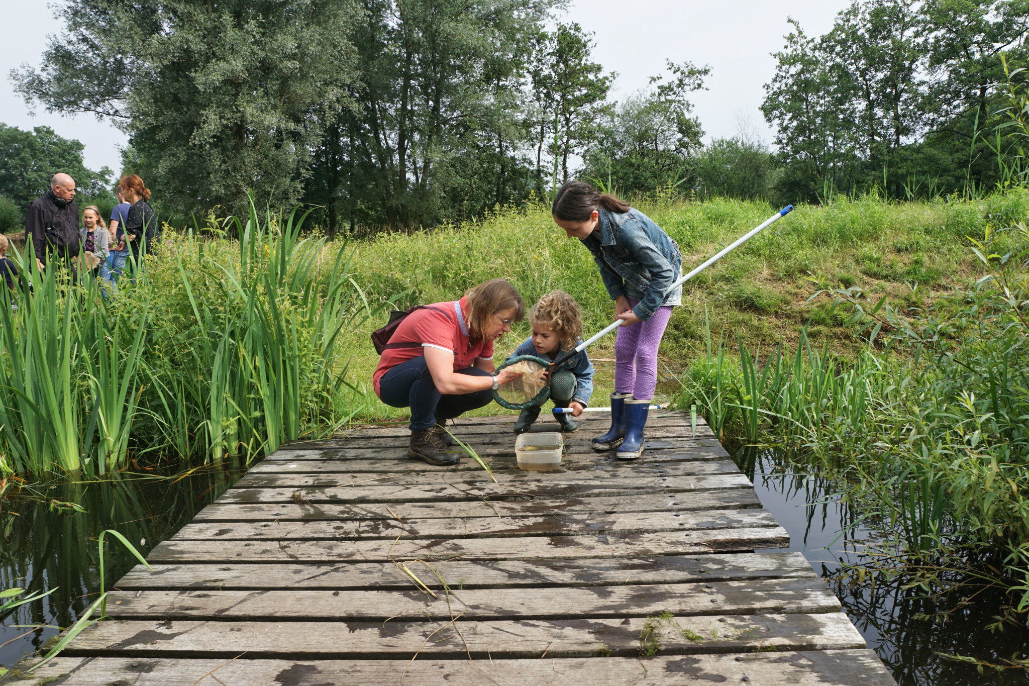 Vervuiling en droogte bedreigen 330.000 kilometer Nederlandse sloot