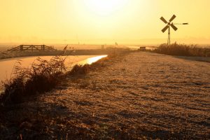 Vogeltrek in de Hekslootpolder