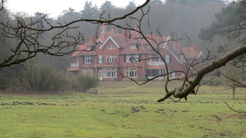 Het leven op Koningshof