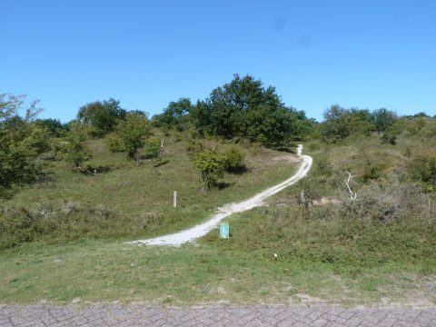 Excursie aanvragen