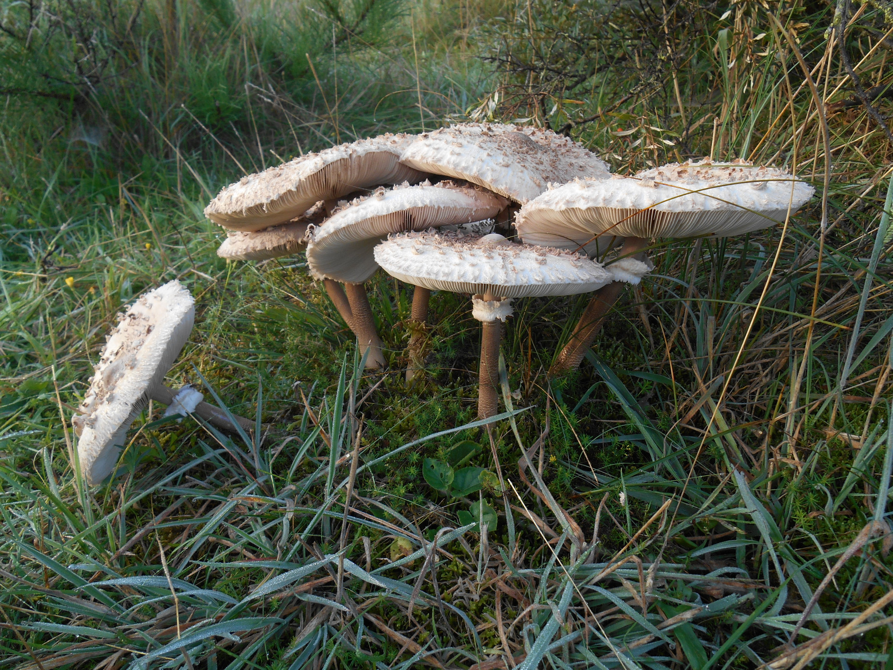 Beleef de duinen in de herfst