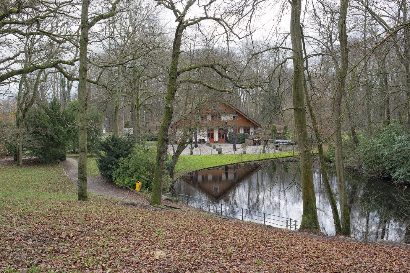 Houten huis bij vijver, omringd door kale bomen en herfstbladeren op de grond.