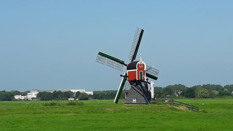 Rode en zwarte windmolen met groene wieken op een grasveld onder een blauwe lucht.