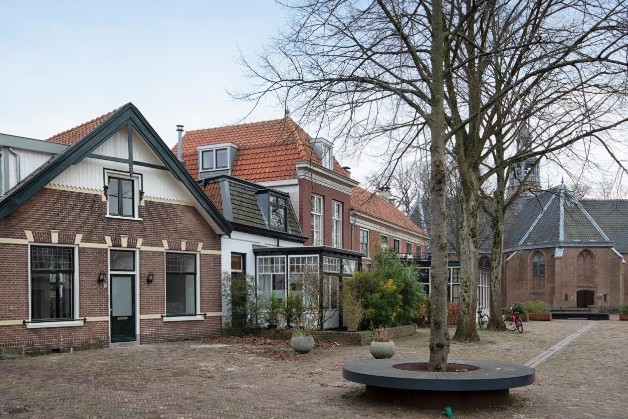 Wilhelminaboom nr. 2, Linde