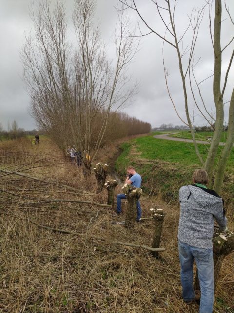 Mensen snoeien bomen langs een sloot op een bewolkte dag.