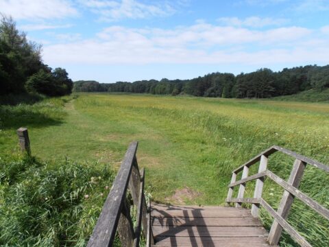 Houten trap leidt naar groen veld met bomen en blauwe lucht op achtergrond.