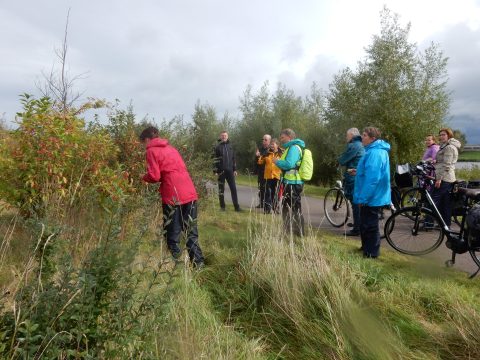 Groep mensen in regenjassen bij fietsen, observeert natuur langs een pad.