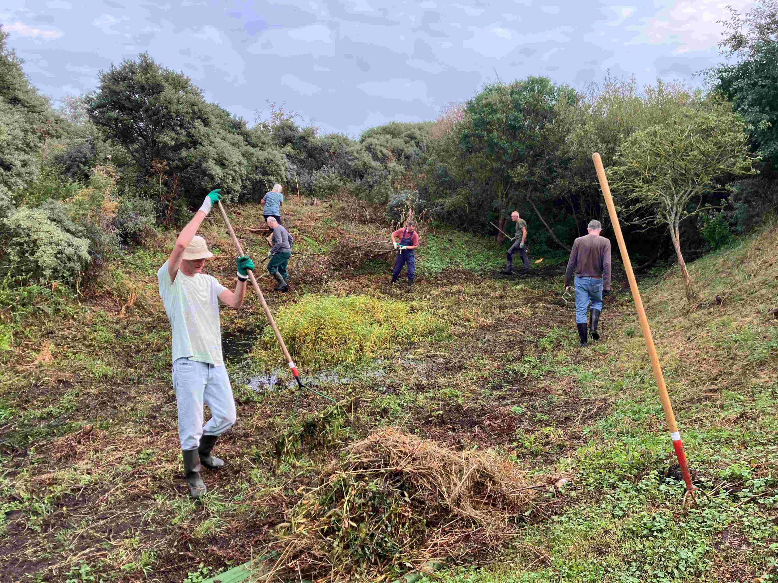 Vrijwilligers werken in de natuur met harken en scheppen, omgeven door struiken.