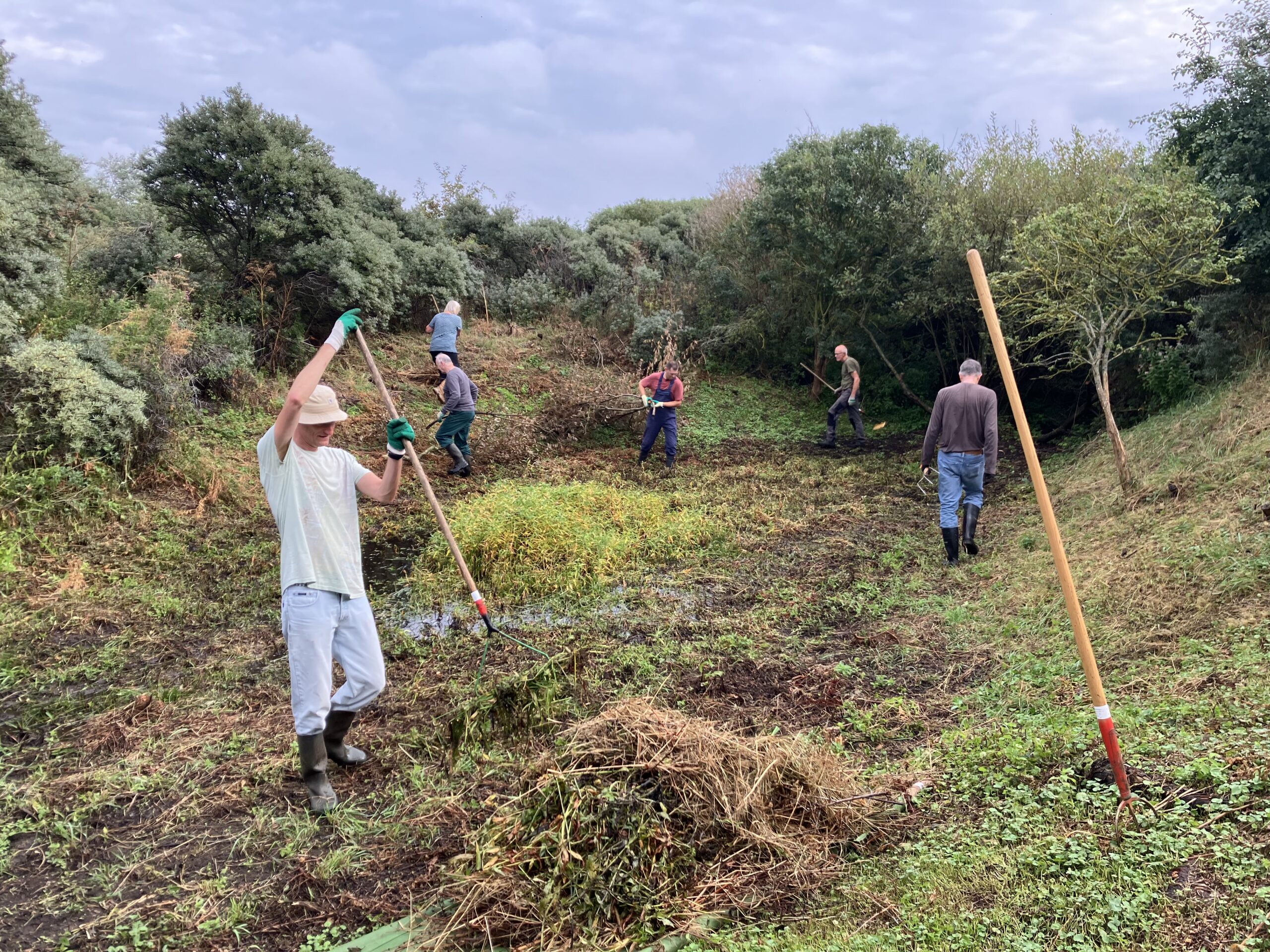Mensen werken met gereedschap in een begroeide omgeving om het terrein op te schonen.
