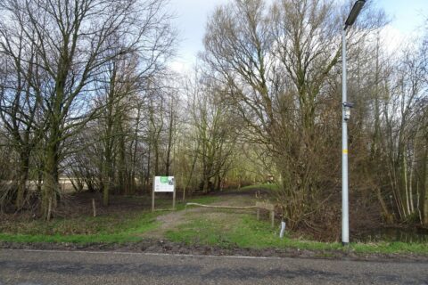 Bosrijk pad met kale bomen, een informatiebord, en een lantaarnpaal naast de weg.