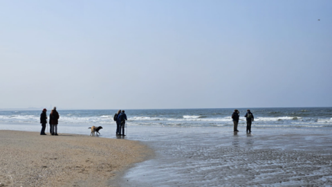 Mensen en hond op de grens van zee en strand