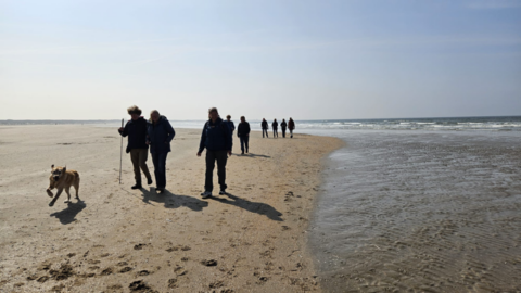 Voetgangers langs de kustlijn