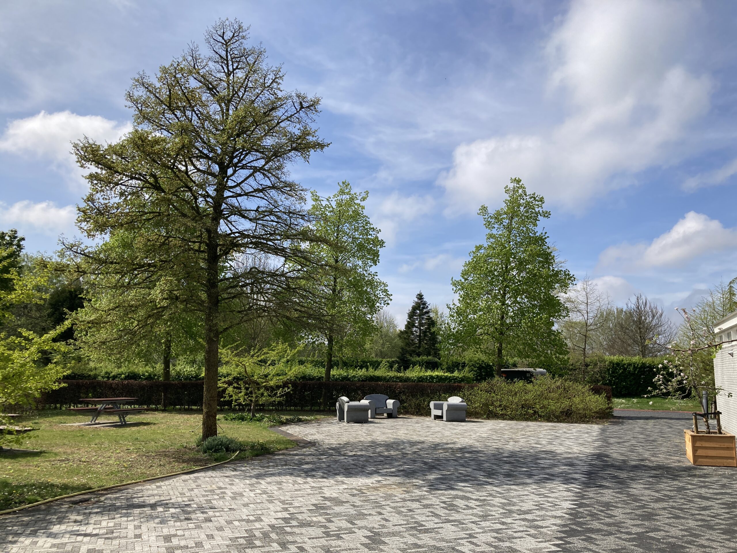 Tuin met bomen, betegeld terras en tuinmeubels onder een blauwe lucht met wolken.
