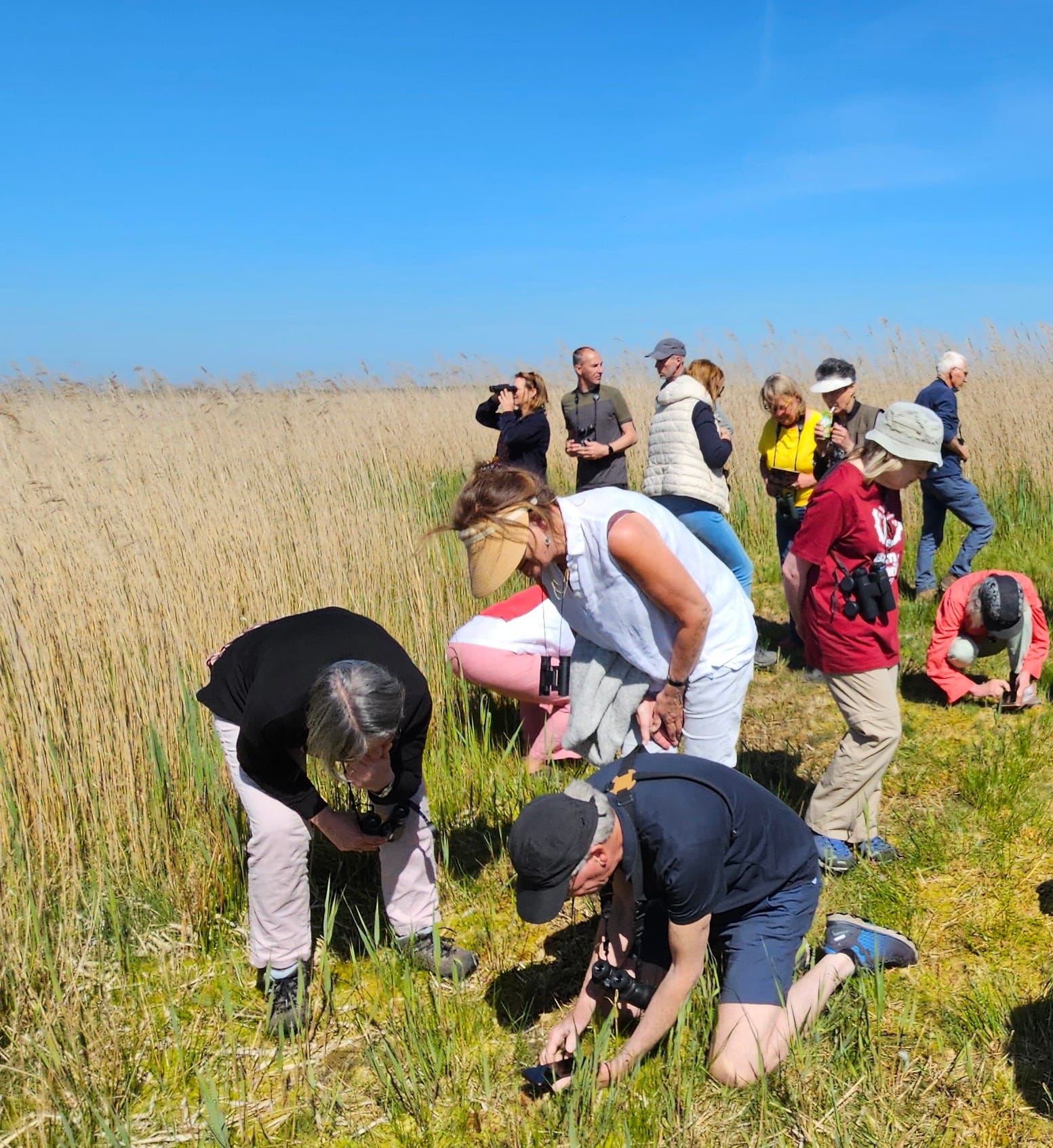 Verslag van NGO-terugkomdag: deelnemers in het veld