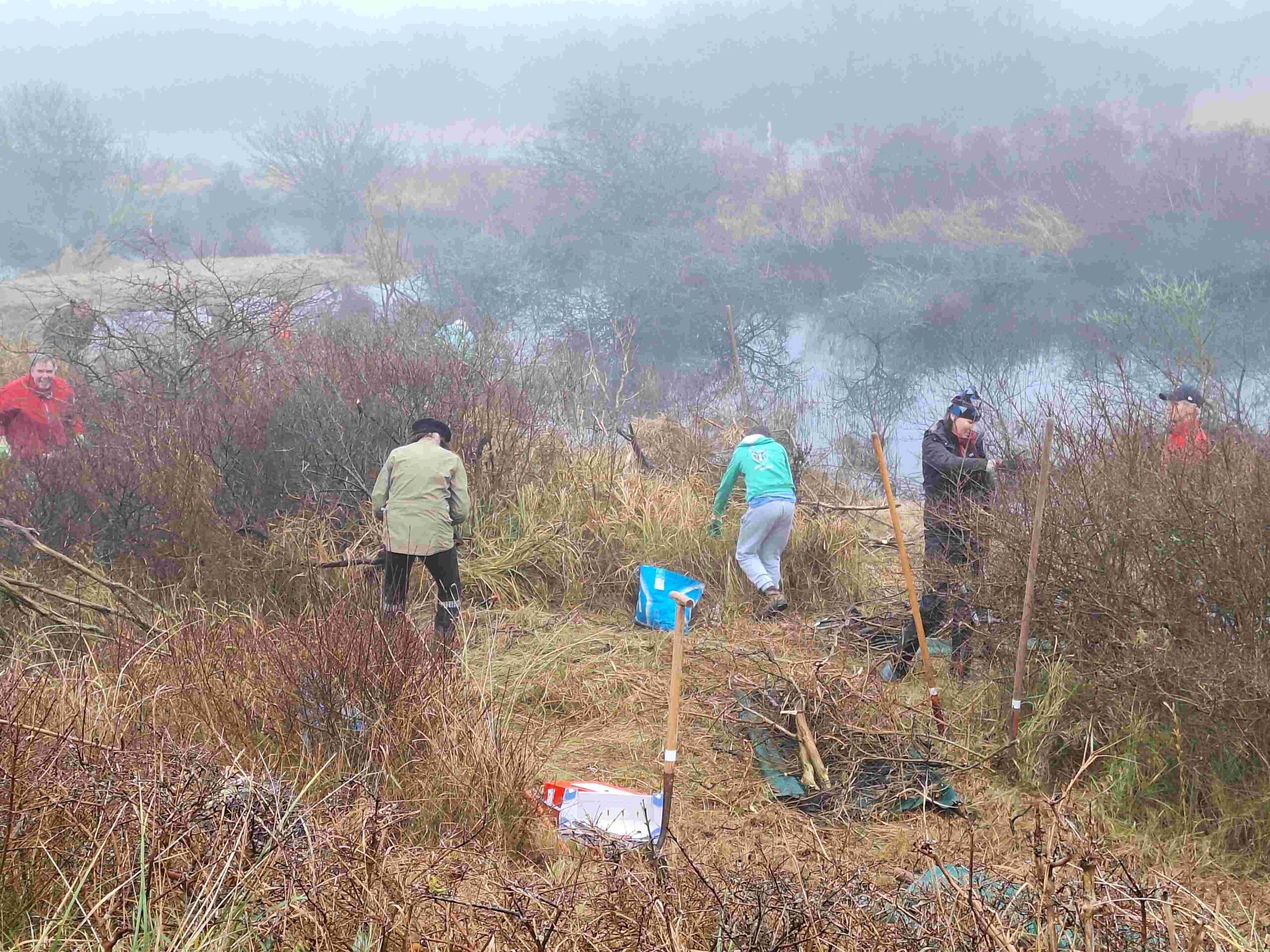 Mensen werken in een mistig landschap, omringd door struiken en gras, dichtbij een waterlichaam.