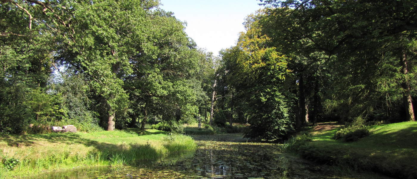 Bosrijke omgeving met vijver begroeid met waterplanten, omgeven door weelderige groene bomen.