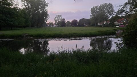 Parklandschap bij schemering met vijver, bomen en huizen in de verte, zachte roze lucht.