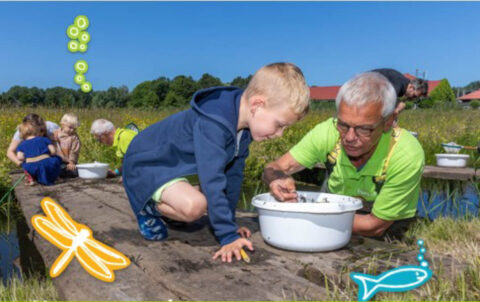 Kinderen en een oudere man onderzoeken waterleven op een steiger bij een groene vijver.