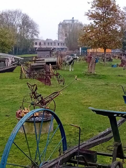 Oud landbouwwerktuigen op grasveld met bomen, gebouw op de achtergrond en koeien in de verte.