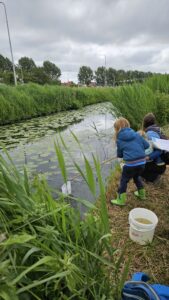Kinderen kijken vanaf de oever in de sloot