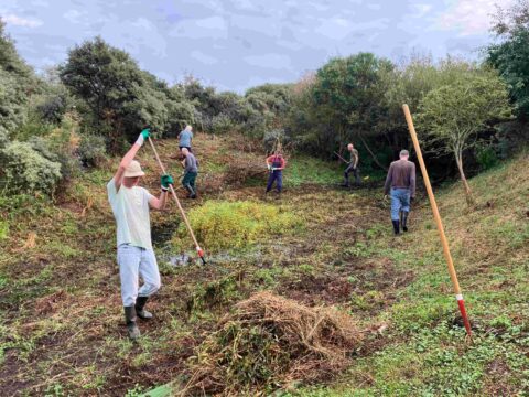 Vrijwilligers werken in een groene omgeving met tuingereedschap.