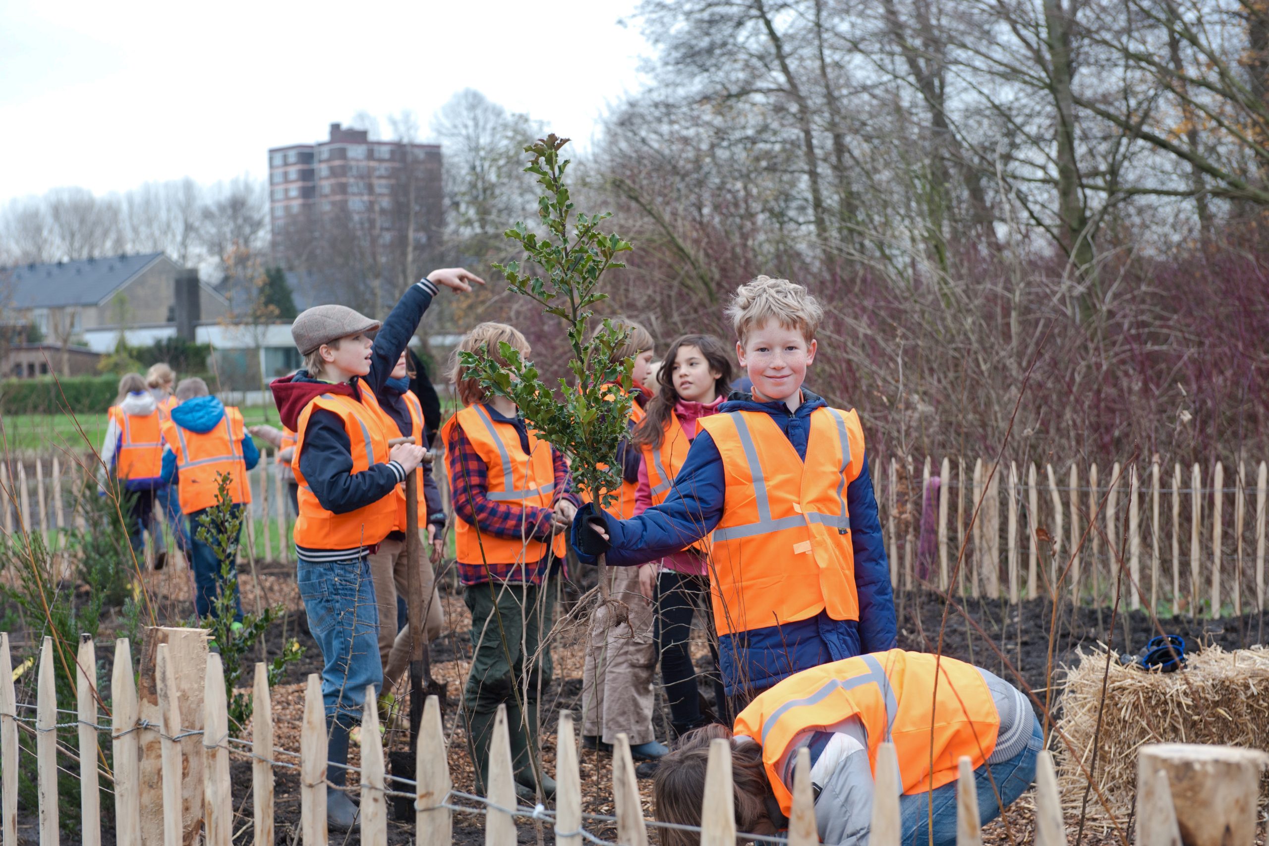 Online cursus Tiny Forest