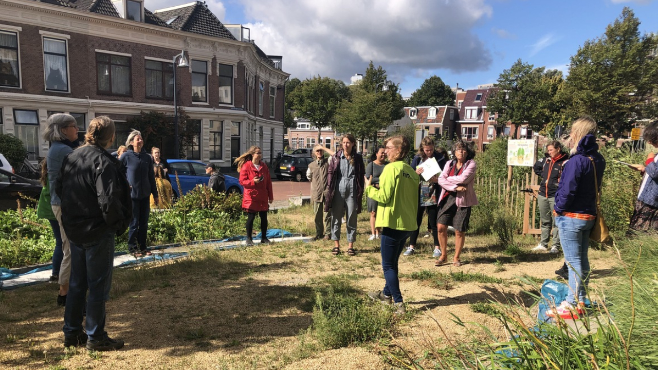 De Tiny Forest lerarenworkshops