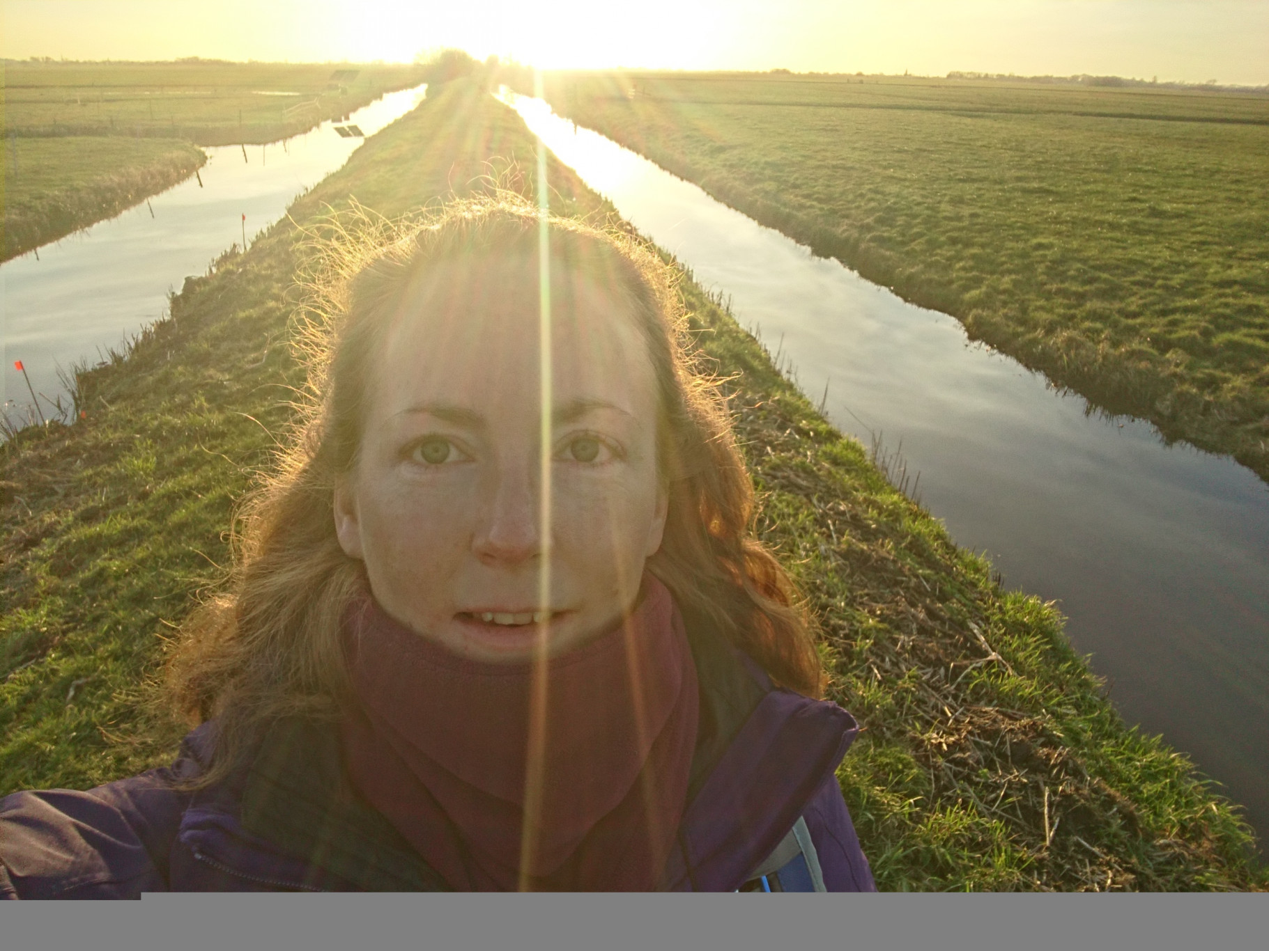 Blog: Het kleine bosje van Renée