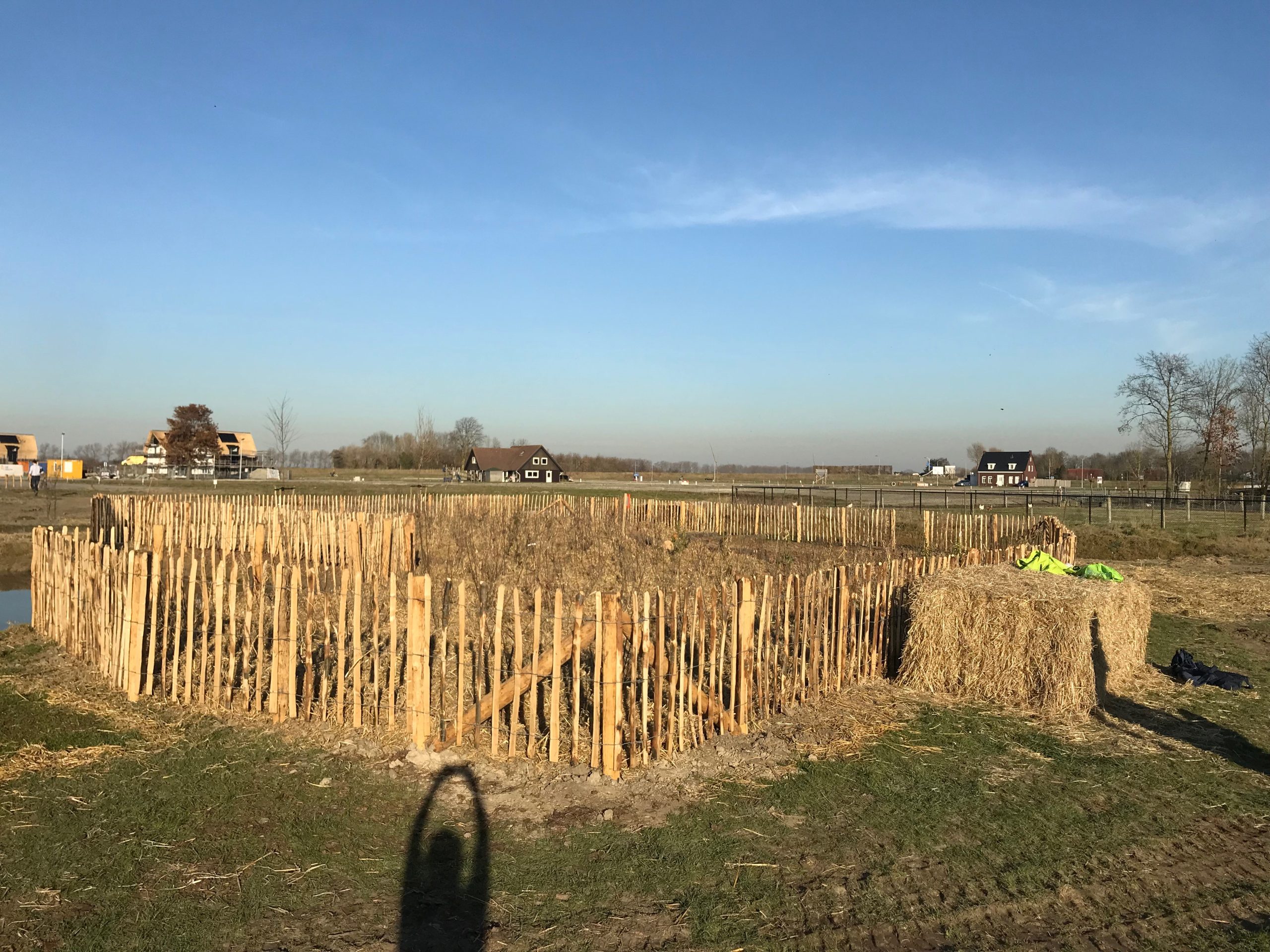 Een jaar later… Zeeland’s eerste Tiny Forest groeit als kool!