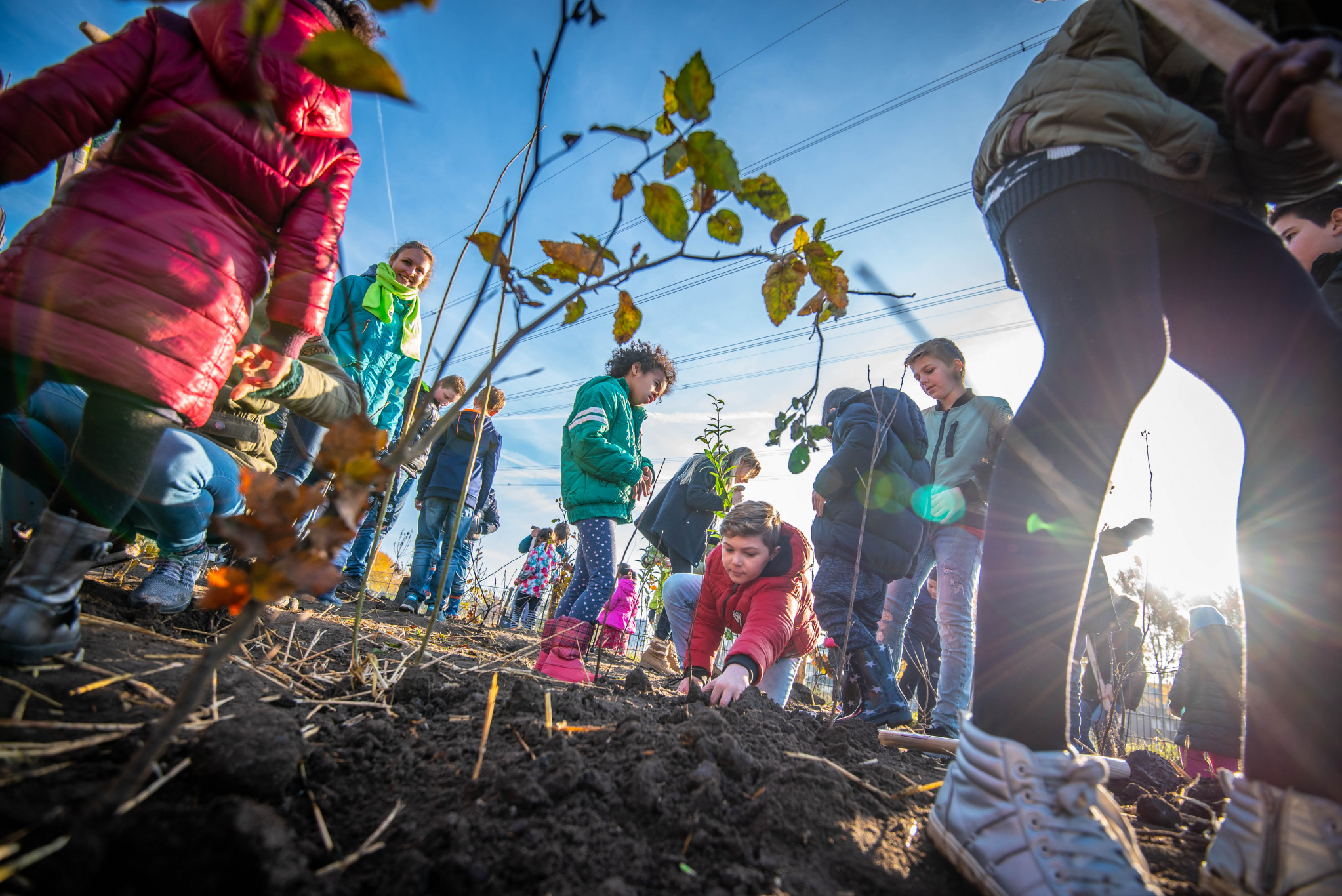 Het voorjaar komt er aan, een heerlijke tijd om het Tiny Forest te ontdekken