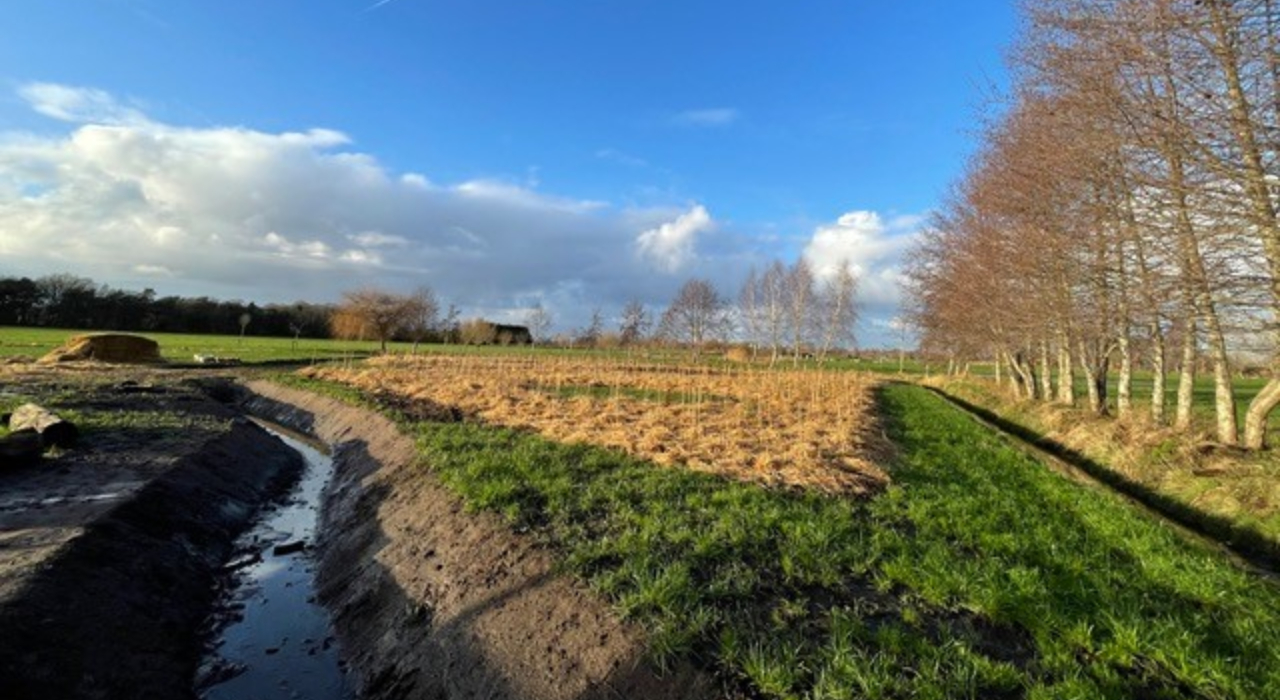 Blog: De aanleg van een eigen Tiny Forest