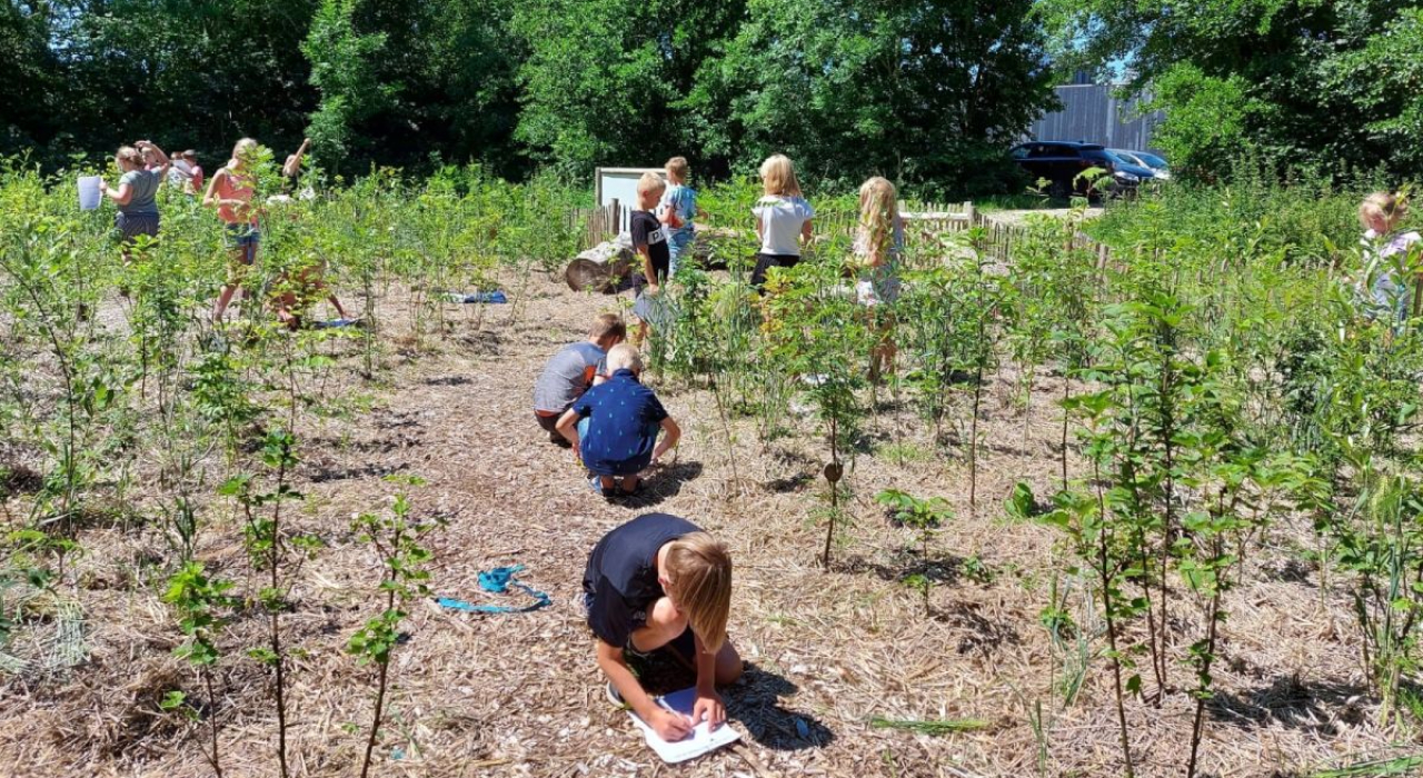 De opmars van Tiny Forests