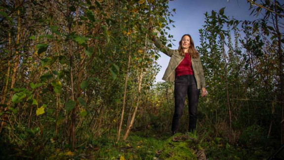 Tiny Forest Nathalie van Loon: fotograaf Frans Paalman