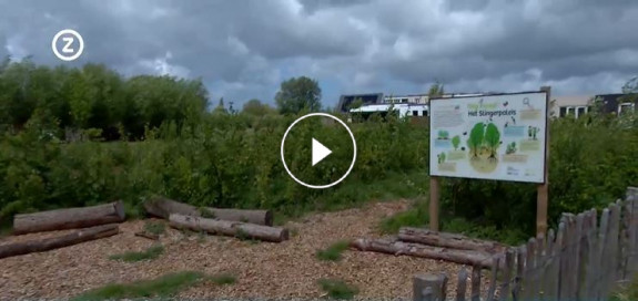 Video Tiny Forest Slingerpaleis