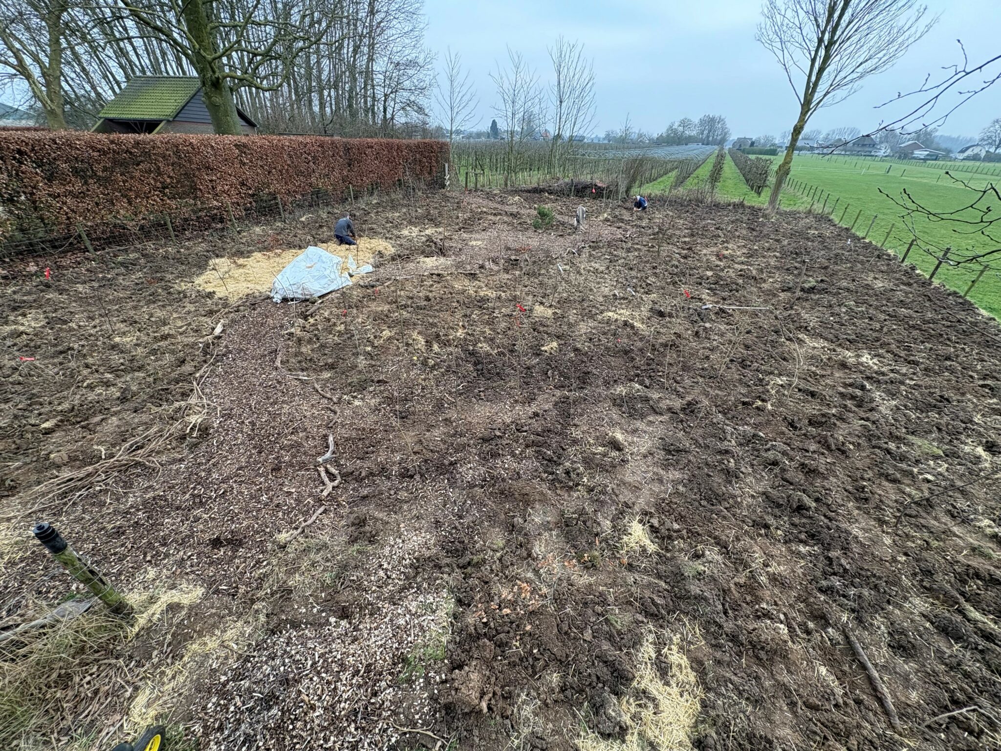 Een kaal veld met aarde, enkele struiken en een heg. Twee mensen werken.