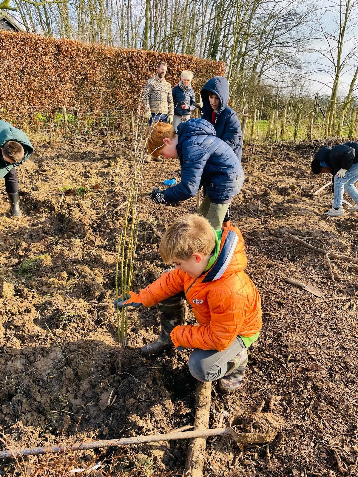 Kinderen planten boom in tuin onder toezicht van volwassenen. Winterkleding, kale bomen op achtergrond.