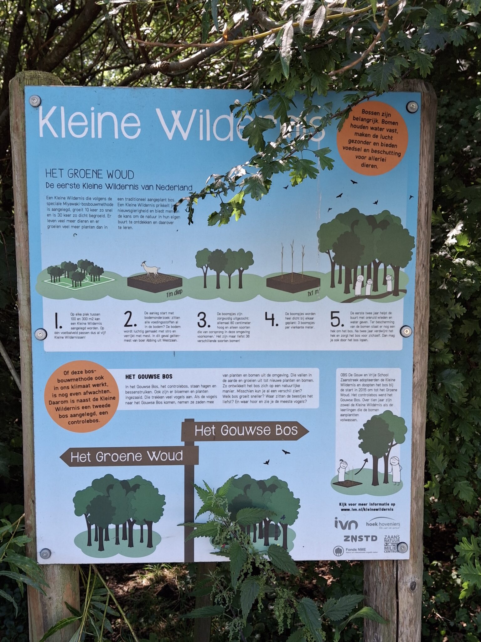 Informatiebord over het Groene Woud en Gouwse Bos, omringd door bomen en bladeren.