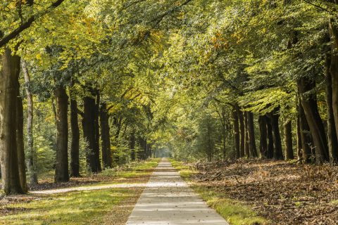 Groene GGZ moet Lentis biodiverser en cliënten gelukkiger maken