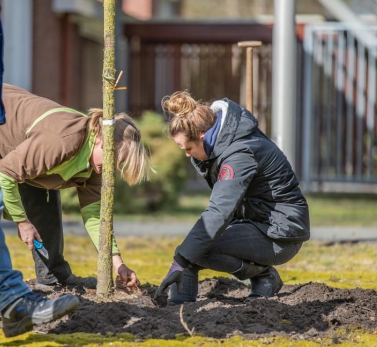 groene-ggz-lentis-boomplantdag