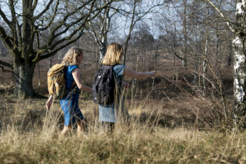 Wandelen winter