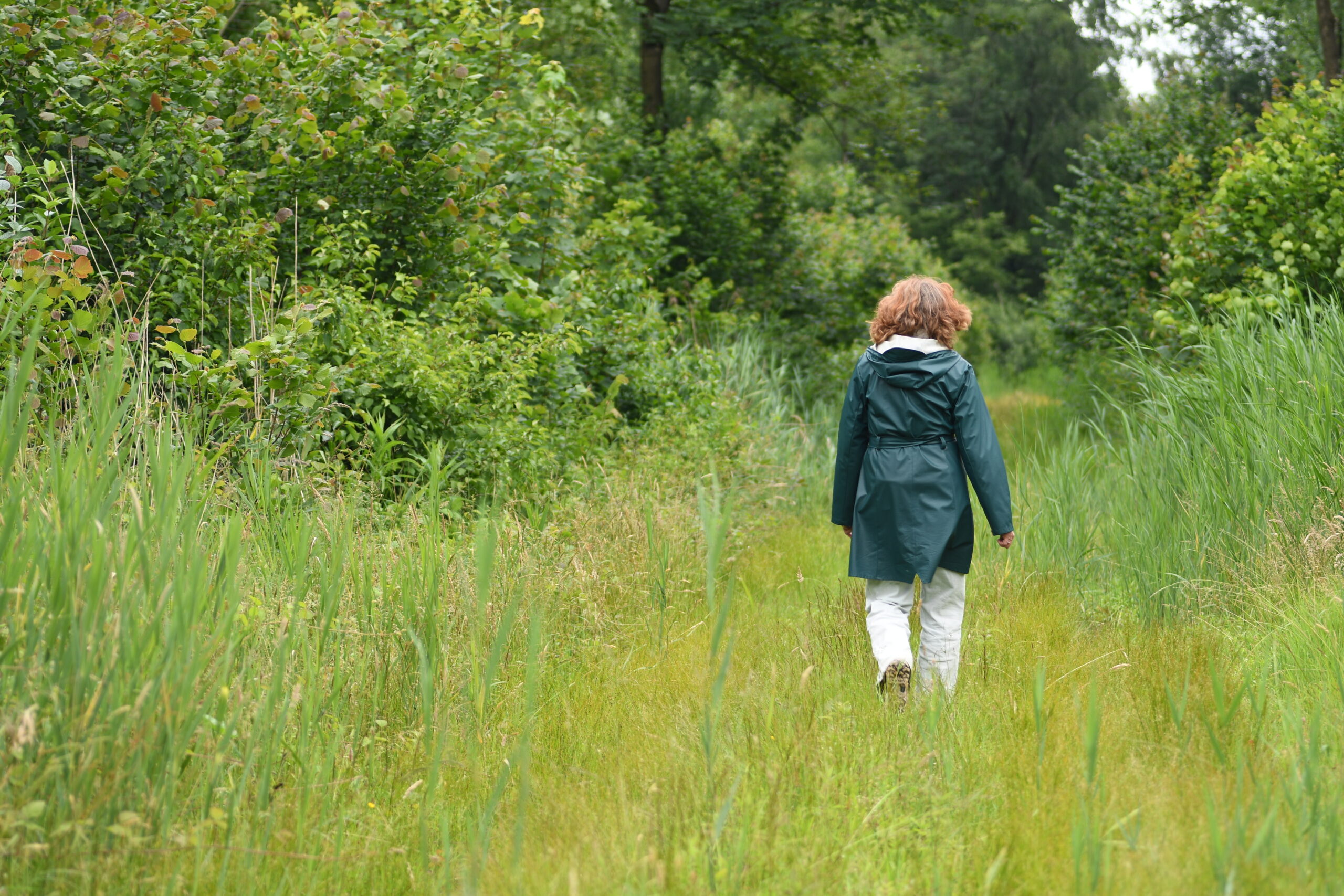 Persoon in regenkleding wandelt over groen pad omgeven door weelderige struiken en gras.